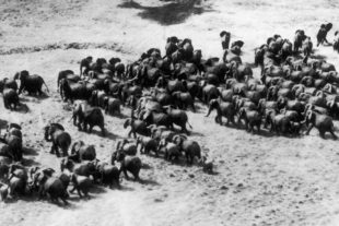 Jan Svatoš: Archa světel a stínů v Art-n-Coffee